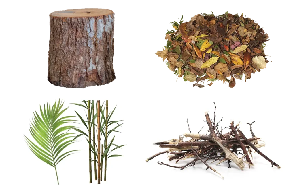 a tree stump, leaves, bamboo, palm fronds, sticks